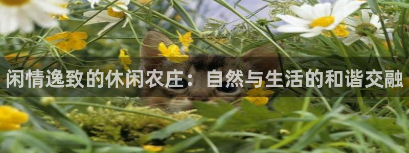 下载摩根娱乐宝