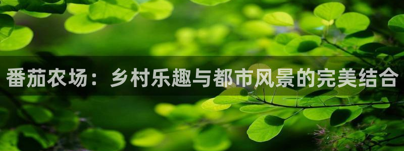 临平摩根娱乐会所怎么样