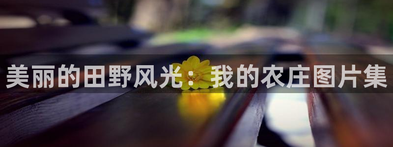 义乌市摩根娱乐会所招聘