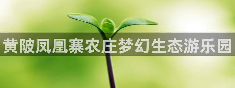 义务摩根娱乐会所