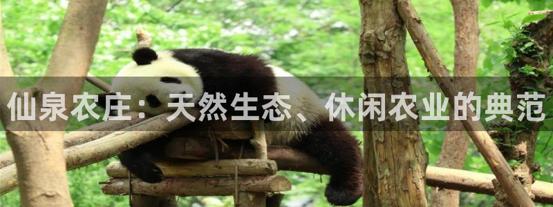 泉州摩根会娱乐张桂花