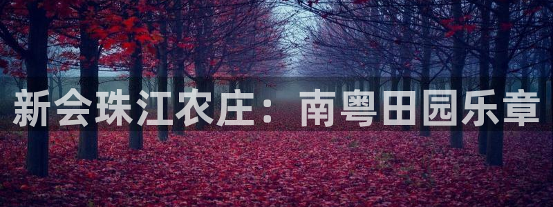 泉州摩根会娱乐场所