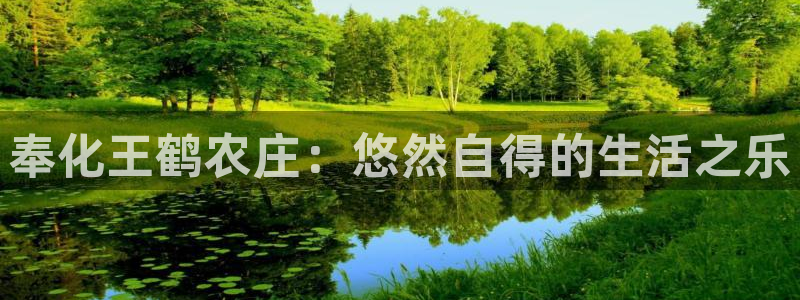 摩根娱乐宝平台