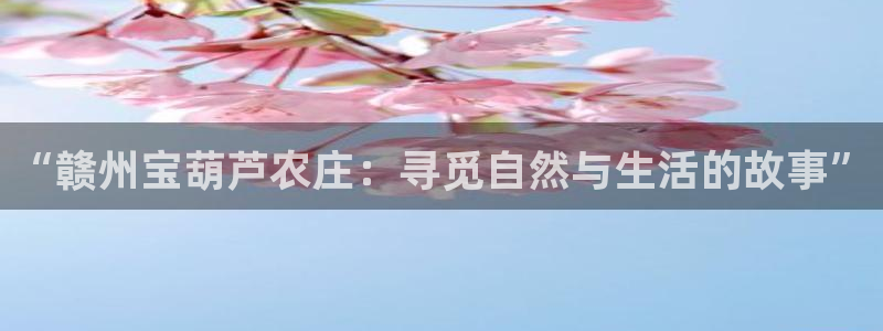 摩根娱乐部