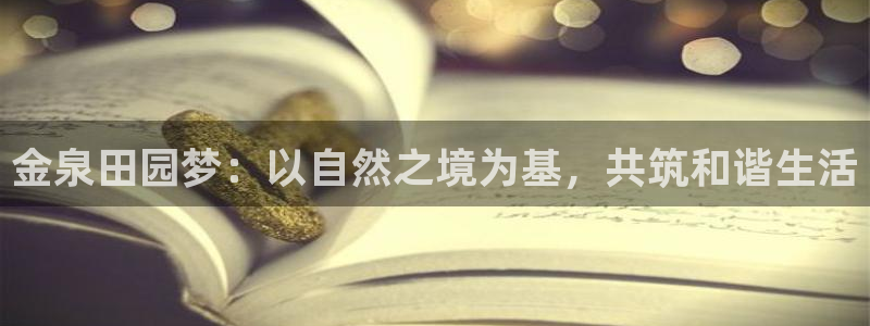 摩根娱乐挂机项目有哪些