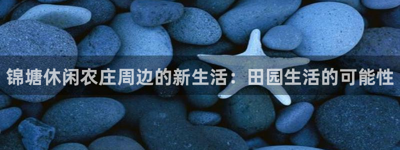 泉州摩根会娱乐场所