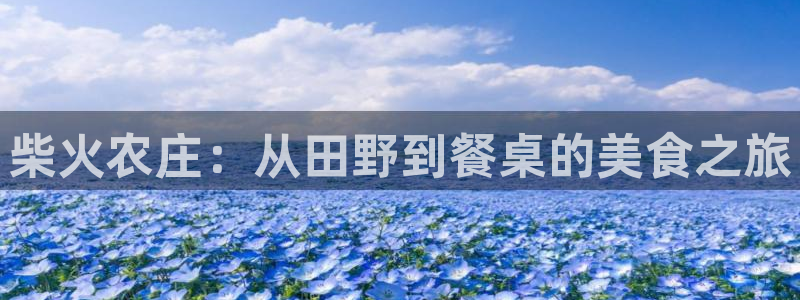 摩根娱乐彩票被骗了