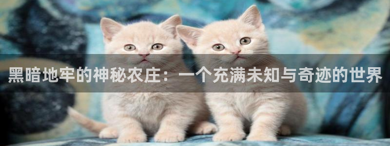摩根空间附近休闲娱乐