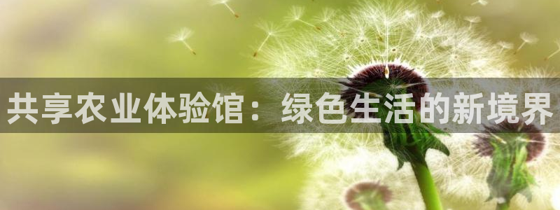 摩根娱乐信益怎么样