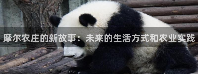 摩根娱乐宝-