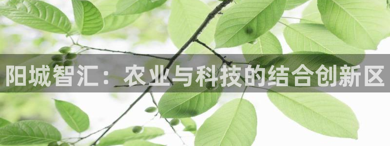 摩根娱乐公司