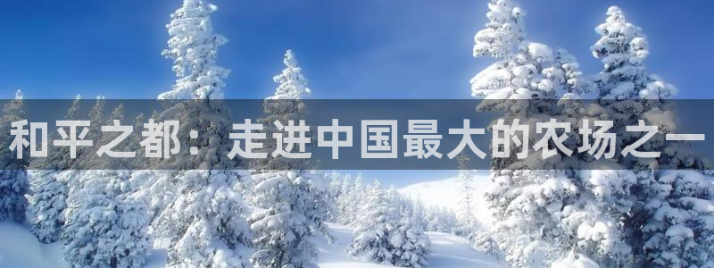 香港摩根娱乐