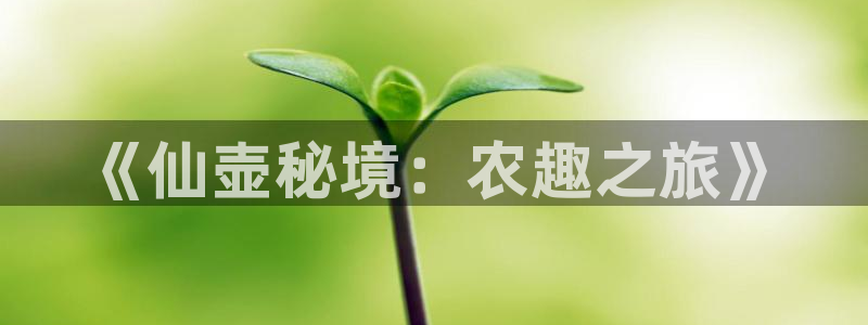 摩根娱乐宝怎么注册