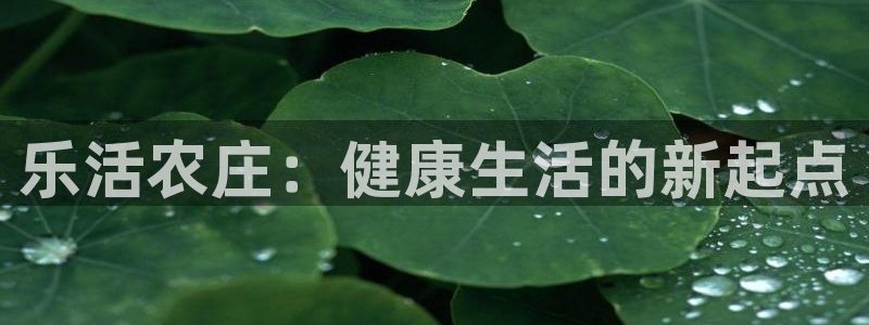 奥飞娱乐摩根调研