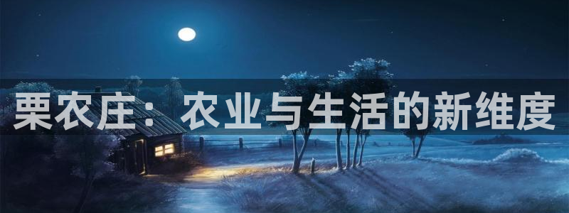 摩根士丹利娱乐