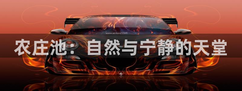 主角是摩根家族的娱乐文