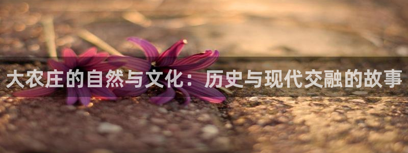 摩根大通会员买金沙娱乐