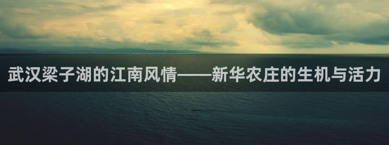 摩根娱乐平台注册