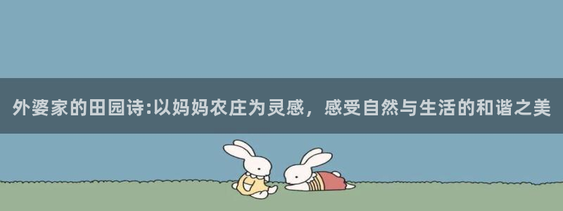 泉州摩根会娱乐有限公司