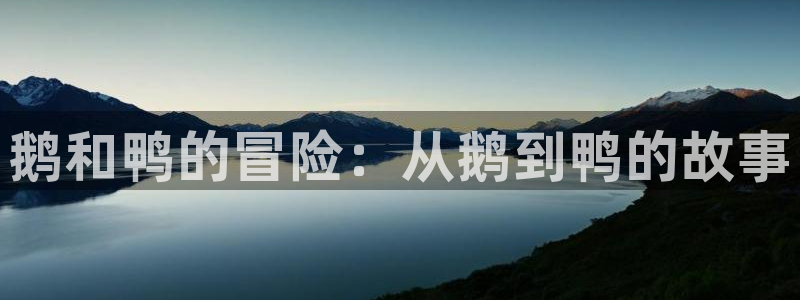 摩根娱乐¤股s东50015