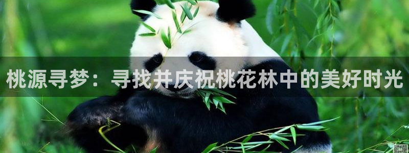 摩根娱乐宝如何提现