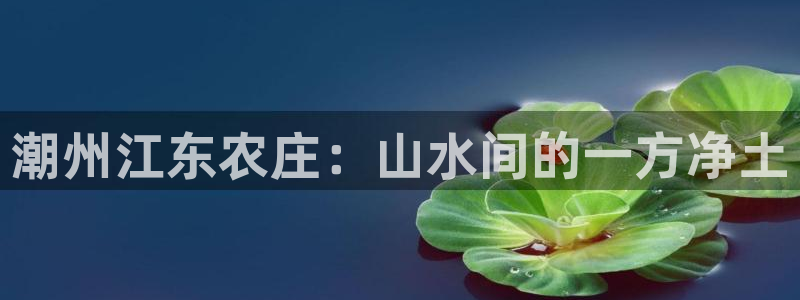 摩根娱乐50186叩