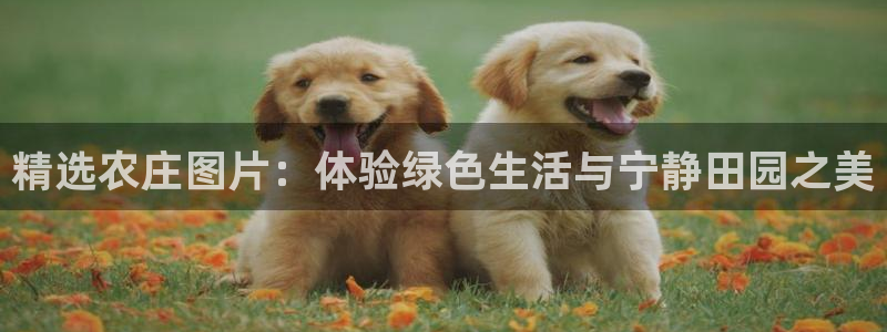 摩根娱乐注册平台