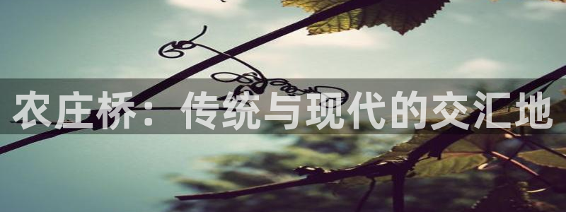 杭州市摩根国际娱乐会所