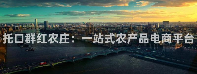 摩根娱乐挂机项目是什么