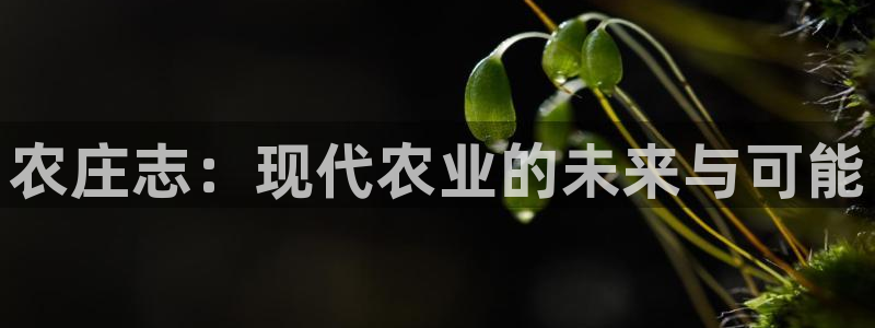 义乌市摩根娱乐会所招聘