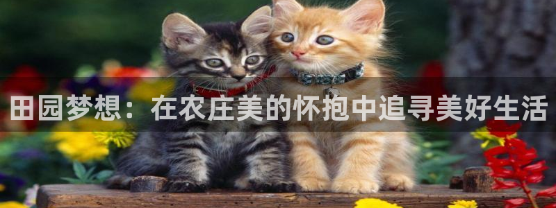 下载摩根娱乐宝