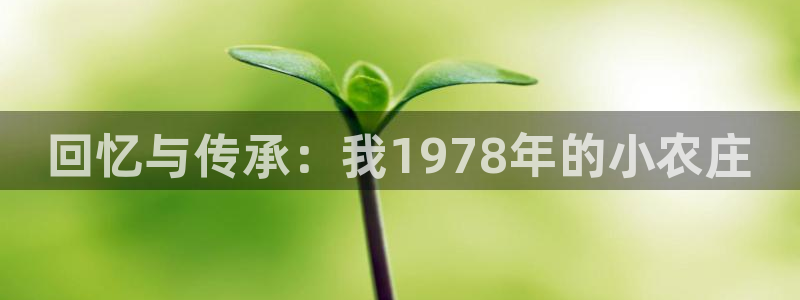 首页摩根娱乐平台