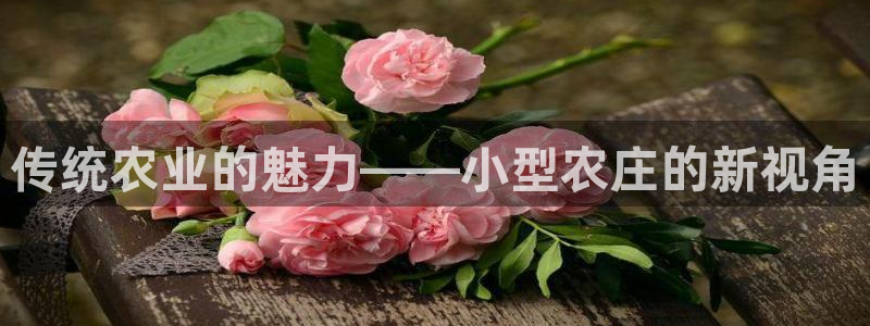 摩根娱乐宝是骗人的的吗