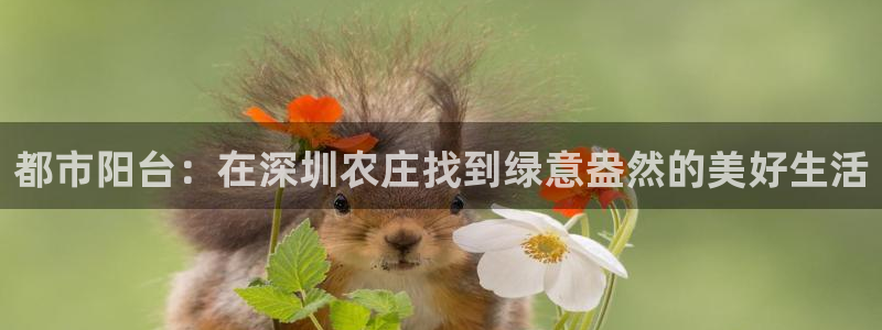 摩根娱乐宝平台