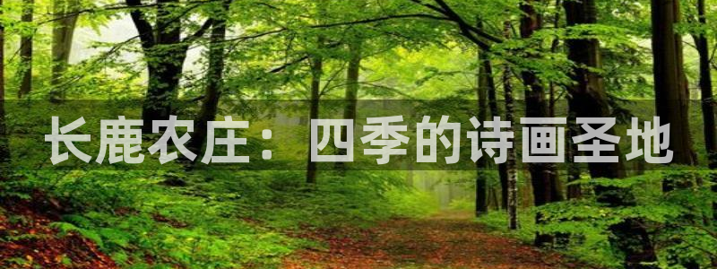 摩根国际商务娱乐会所