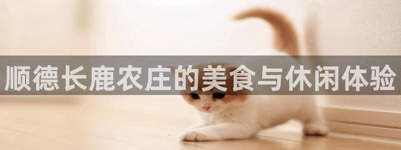 义乌市摩根娱乐会所招聘