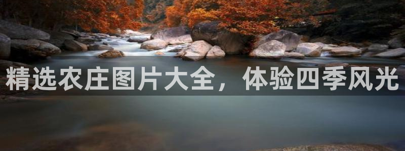 摩根娱乐二三事