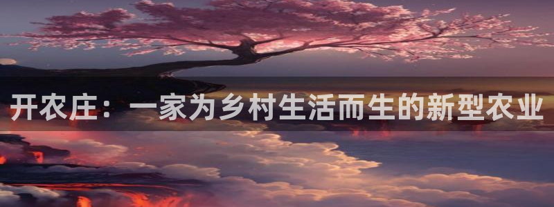 摩根娱乐宝口碑