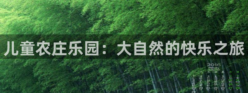 长春拉图摩根娱乐