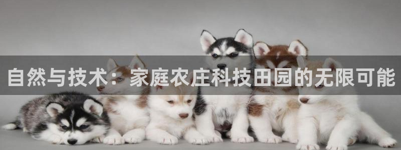 摩根娱乐宝是骗局吗