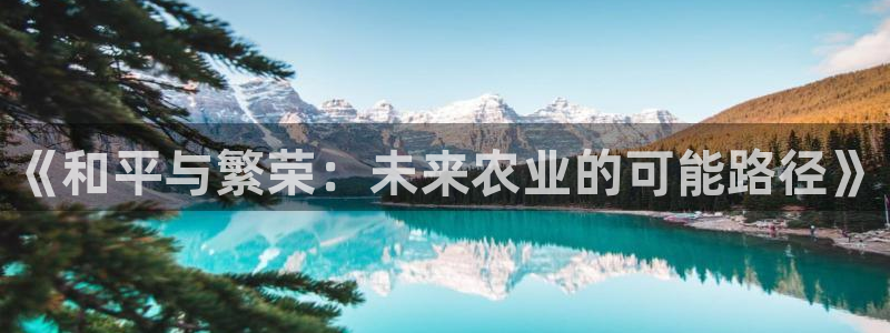 摩根娱乐宝进不去