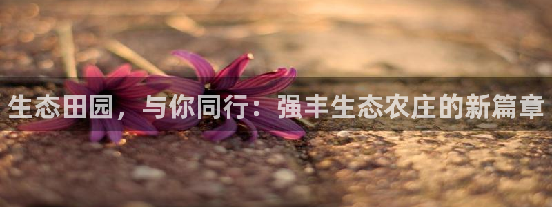 摩根娱乐宝可信吗