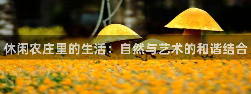 义乌摩根娱乐招聘少爷