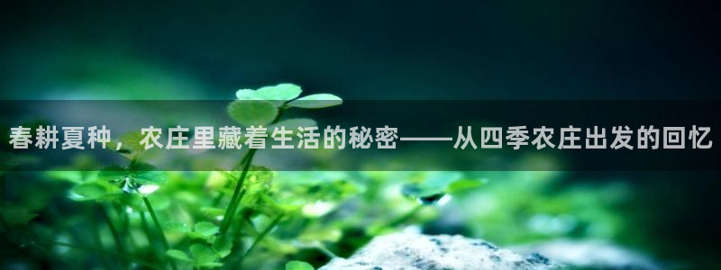 摩根娱乐彩票挂机