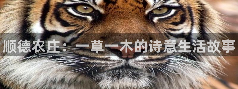 摩根娱乐宝是合法吗