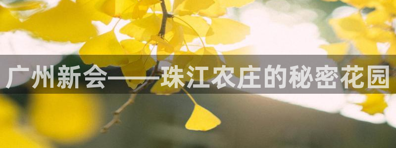 摩根国际娱乐宝合法吗