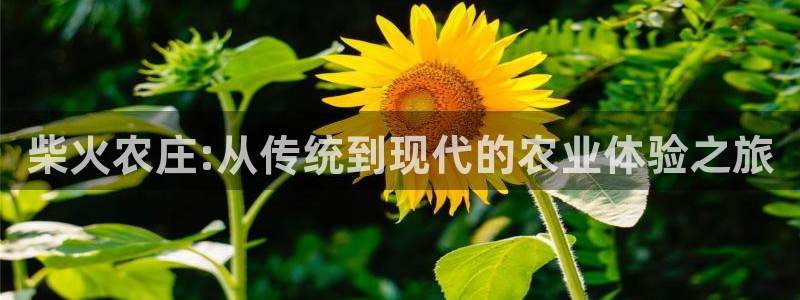 摩根娱乐注册账号