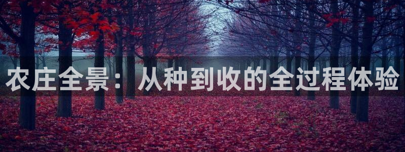 娱乐解说摩根王者荣耀