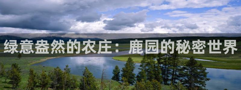 摩根娱乐宝平台