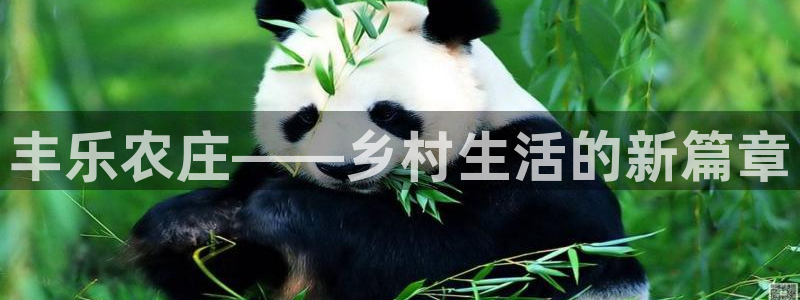 摩根娱乐黑别人网站